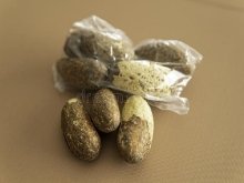 Hassan Mohammad Maaruf