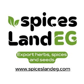 Ahmed gaber export manger